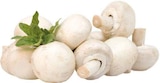 Champignons „weiß“ Angebote bei E center Münster für 1,79 €