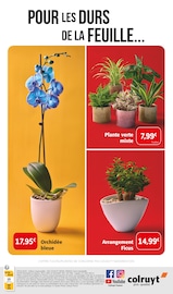 Orchidée Angebote im Prospekt "L'ÉTÉ SERA ROUGE" von Colruyt Orchidée Angebote im Prospekt "L'ÉTÉ SERA ROUGE" von Colruyt auf Seite 8