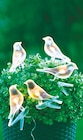 GARDEN DREAM Solar-Lichterkette Vögel im Angebot bei Netto mit dem Scottie in Wismar GARDEN DREAM Solar-Lichterkette Vögel Angebote bei Netto mit dem Scottie Wismar für 9,99 €