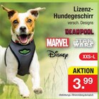 Lizenz-Hundegeschirr im aktuellen Zimmermann Prospekt