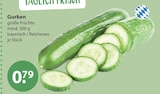 Gurken von  im aktuellen V-Markt Prospekt für 0,79 €