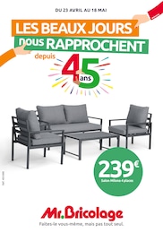Offre Meuble Salon dans le catalogue Mr. Bricolage du moment à la page 1