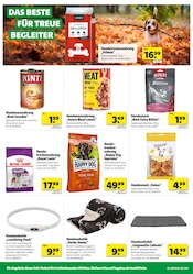 Aktueller Hagebaumarkt Prospekt mit Campingmöbel, "BLACK WEEK SALE", Seite 10