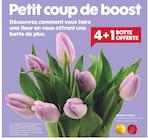 Botte de 7 tulipes en promo chez Truffaut Courbevoie à 4,49 €