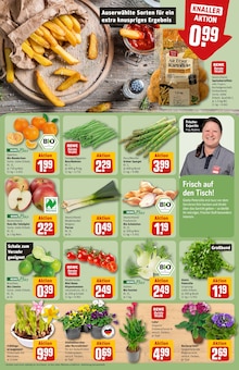 Stiefmütterchen im REWE Prospekt "Dein Markt" mit 42 Seiten (Kiel)