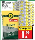 Wreesmann Thale Prospekt mit  im Angebot für 1,99 €