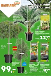 Antipasti Angebot & Preis im aktuellen Globus-Baumarkt Prospekt Antipasti Angebot im aktuellen Globus-Baumarkt Prospekt auf Seite 16