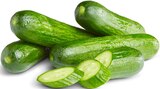 Mini-Gurken von  im aktuellen Penny Prospekt für 2,29 €