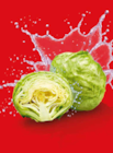 Angebot im Netto Marken-Discount Aalen Prospekt Netto Marken-Discount Aalen Prospekt mit im Angebot fĂŒr 0,64 âŹ