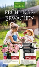 Aktueller Pflanzen Kölle Prospekt mit Kochtopf, "FRÜHLINGS-ERWACHEN", Seite 1