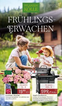 Gasgrill im Pflanzen Kölle Prospekt "FRÜHLINGS-ERWACHEN" mit 14 Seiten (Nürnberg)