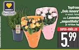 Angebot im EDEKA Bayerisch Gmain Prospekt EDEKA Bayerisch Gmain Prospekt mit im Angebot für 5,99 €