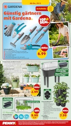 Gartenschere Angebot im aktuellen Penny Prospekt auf Seite 24