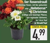 Aktuelles 5er Rosenstrauß oder 'Helleborus' Christrose Angebot bei E center in Augsburg ab 4,99 €