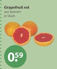 Grapefruit rot von  im aktuellen V-Markt Prospekt für 0,59 €