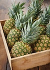 Promo Ananas à 1,49 € dans le catalogue Intermarché Hyper à Gap