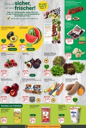 Kartoffeln im GLOBUS Prospekt in Gera Aktueller GLOBUS Prospekt mit Kartoffeln, "Aktuelle Angebote", Seite 6