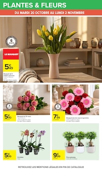 Promotion Tulipes dans le prospectus Carrefour, valable du 20/10/2026 au 02/11/2026 Promo Tulipes dans le catalogue Carrefour du moment à la page 64