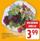 Frühjahrsstrauß für 3,99 € bei E center im Angebot Frühjahrsstrauß im aktuellen E center Prospekt