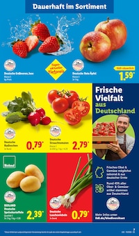 Äpfel im Lidl Prospekt "LIDL LOHNT SICH" mit 73 Seiten (Hannover)