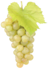 Hmarket Pontault-Combault - Promo Raisin blanc Promo Raisin blanc à 1,99 € dans le catalogue Hmarket à Pontault-Combault