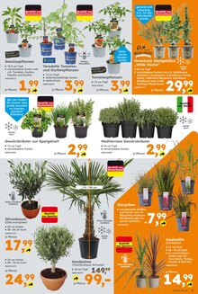 Getränke im Globus-Baumarkt Prospekt "Immer eine Idee besser" mit 25 Seiten (Koblenz)