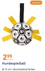 Hundespielball im Angebot bei Action in Stuttgart Hundespielball Angebote bei Action Stuttgart für 2,99 €
