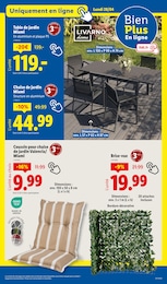 Offre Coussin dans le catalogue Lidl du moment à la page 9