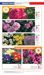 Offre Primevères dans le catalogue U Express du moment à la page 2