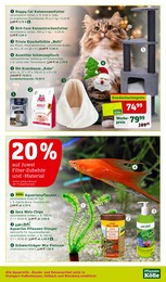 Dünger Angebot & Preis im aktuellen Pflanzen Kölle Prospekt Dünger Angebot im aktuellen Pflanzen Kölle Prospekt auf Seite 11