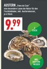 Austern 'Fines de Clair' bei Marktkauf im Emsdetten Prospekt für 9,99 €