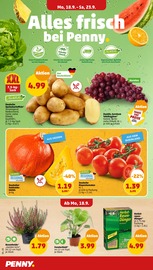 Ähnliche Spargel Angebote im Prospekt "Wer günstig will, muss Penny." von Penny-Markt in Bad Kreuznach Ähnliche Angebote wie Spargel im Prospekt "Wer günstig will, muss Penny." auf Seite 4 von Penny-Markt in Bad Kreuznach
