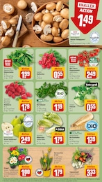 Salat im REWE Prospekt "Dein Markt" auf Seite 7