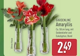 Amaryllis von GARDENLINE für 2,49 € bei ALDI Nord im Angebot Amaryllis von GARDENLINE im aktuellen ALDI Nord Prospekt