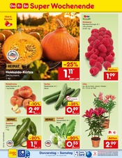 Zucchini im Netto Marken-Discount Prospekt in Freiburg Aktueller Netto Marken-Discount Prospekt mit Zucchini, "Aktuelle Angebote", Seite 52