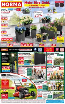 Gartenwerkzeug im Norma Prospekt "Mehr fürs Geld" mit 16 Seiten (Köln)