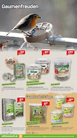 Aktueller Raiffeisenmarkt Prospekt mit Wild, "Richtig durchstarten: Mit den richtigen Angeboten ins neue Jahr.", Seite 2