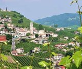 Venetien: Kiwi-Grappa-Prosecco Angebote bei ASTL-Reisen Rosenheim für 70,00 €