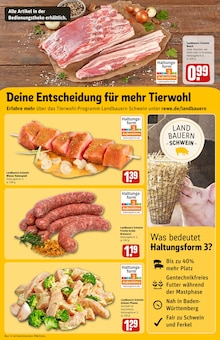 Schweinebauch im REWE Prospekt "Dein Markt" mit 32 Seiten (Reutlingen)