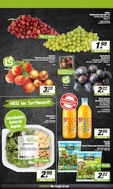 Salat im EDEKA Prospekt in Münster Aktueller EDEKA Prospekt mit Salat, "Aktuelle Angebote", Seite 4