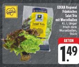 Aktuelles Fränkisches Salat Trio mit Wurzelballen Angebot bei E center in Nürnberg ab 1,49 €