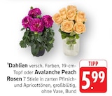 Angebot im EDEKA Wiesbaden Prospekt EDEKA Wiesbaden Prospekt mit im Angebot für 5,99 €