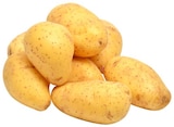 Kartoffeln »Annabelle« bei REWE im Hünstetten Prospekt für 1,19 €