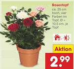 Rosentopf Angebote bei Netto Marken-Discount Lippstadt für 2,99 €