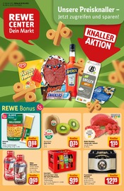 Fleisch im REWE Prospekt in Leinfelden-Echterdingen Aktueller REWE Prospekt mit Fleisch, "Dein Markt", Seite 1