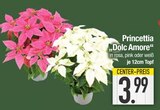 Princettia „Dolc Amore“ im Angebot bei E center in Regensburg Princettia „Dolc Amore“ Angebote bei E center Regensburg für 3,99 €