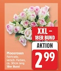 Moosrosen für 2,99 € bei EDEKA im Angebot Moosrosen im aktuellen EDEKA Prospekt