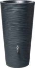 Cuve Natura - GRAF - Tout Faire à Ajaccio Cuve Natura - GRAF en promo chez Tout Faire Ajaccio à 329,00 €