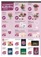 Aktueller V-Markt Prospekt mit Duftkerzen, "V-Markt einfach besser einkaufen", Seite 14