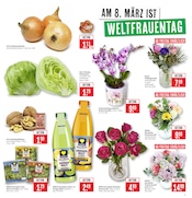 Pflanzen im Marktkauf Prospekt in Tübingen Aktueller Marktkauf Prospekt mit Pflanzen, "Aktuelle Angebote", Seite 3